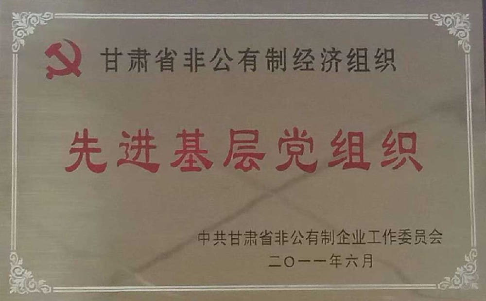 非公有制经济组织先进基层党组织